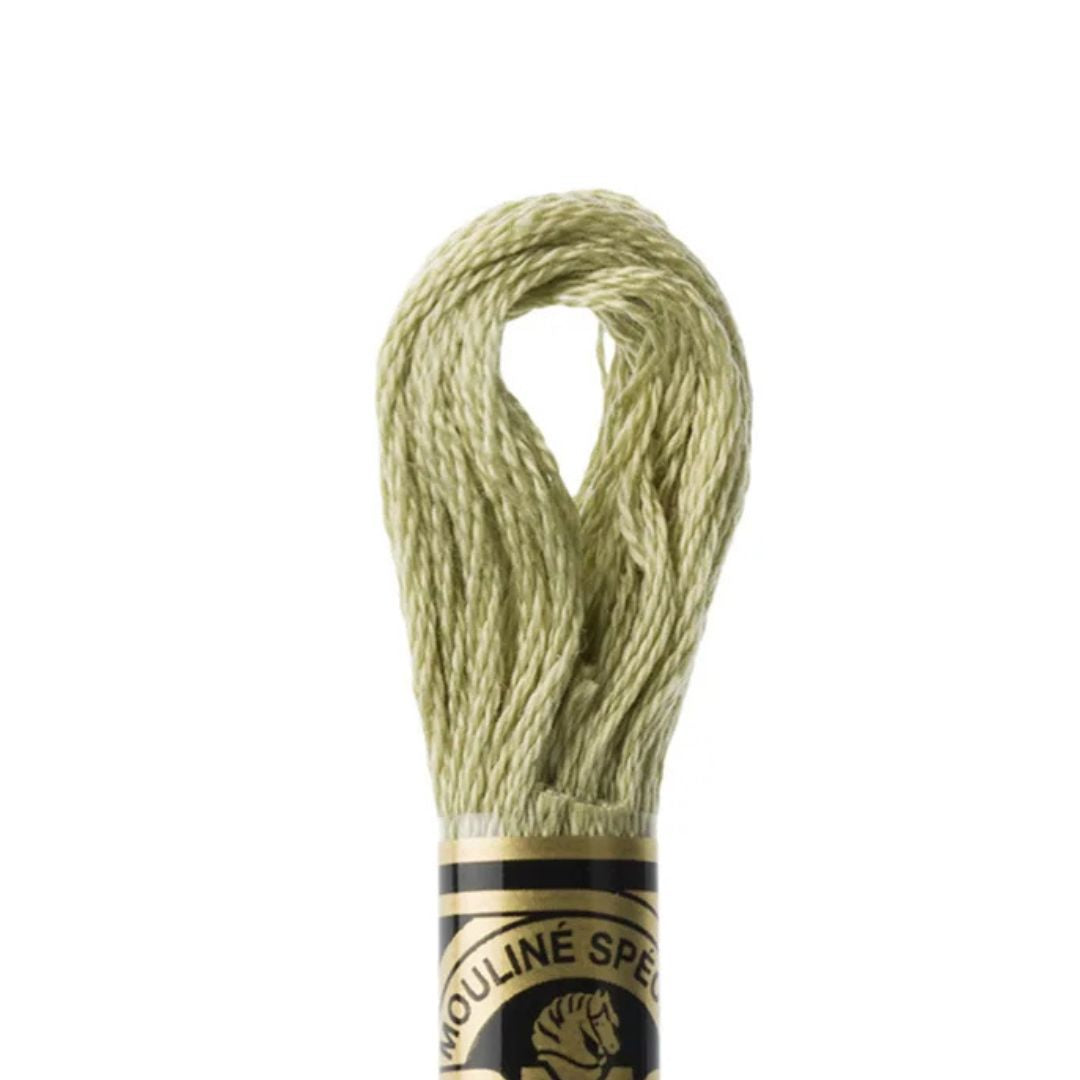 DMC Stranded Cotton Mouliné Spécial Embroidery Thread (3013)