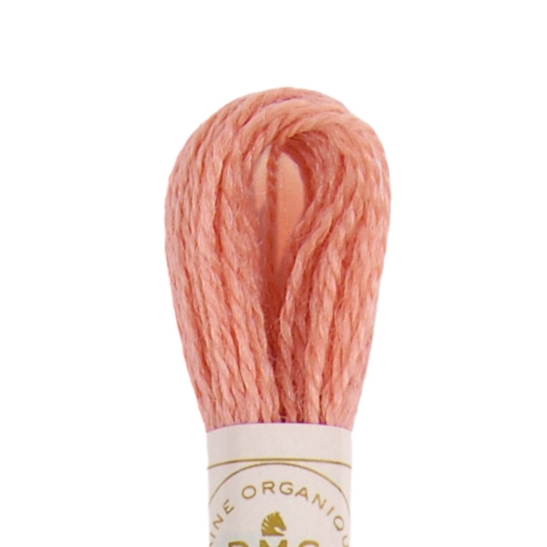 DMC Eco Vita Naturally Dyed Organic Wool Embroidery Thread (301)
