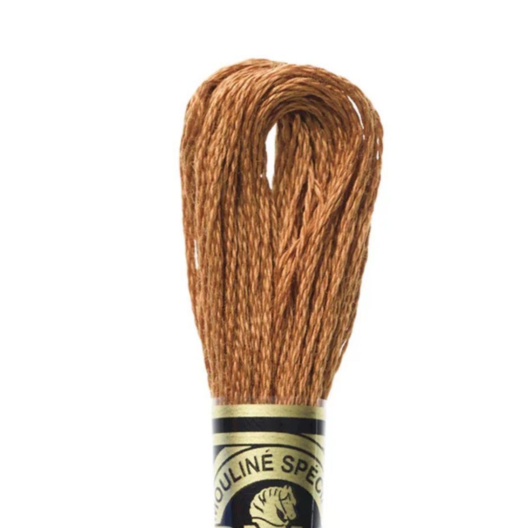 DMC Stranded Cotton Mouliné Spécial Embroidery Thread (301)
