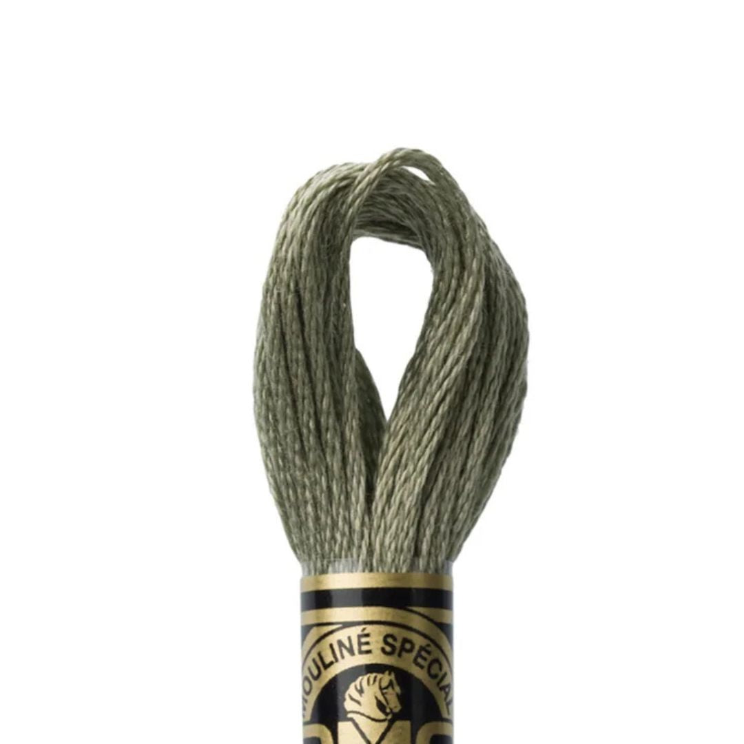 DMC Stranded Cotton Mouliné Spécial Embroidery Thread (3022)
