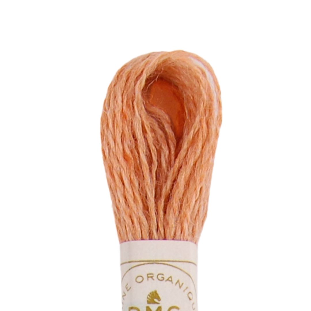 DMC Eco Vita Naturally Dyed Organic Wool Embroidery Thread (302)
