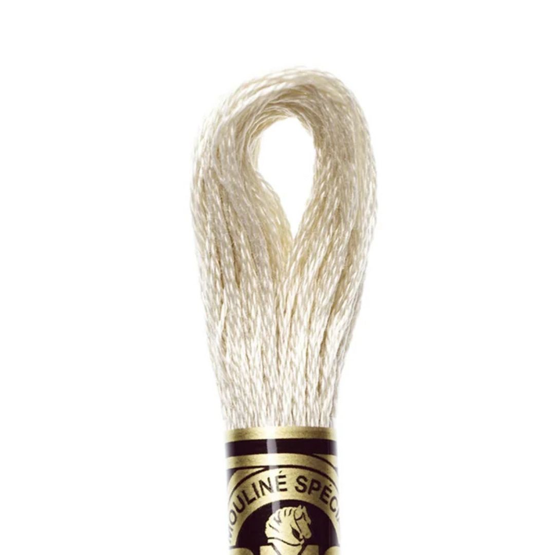 DMC Stranded Cotton Mouliné Spécial Embroidery Thread (3033)