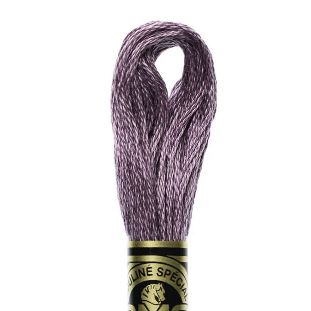 DMC Stranded Cotton Mouliné Spécial Embroidery Thread (3041)