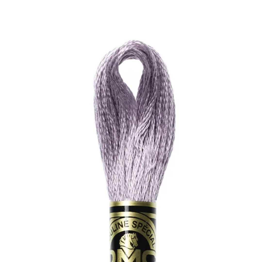 DMC Stranded Cotton Mouliné Spécial Embroidery Thread (3042)