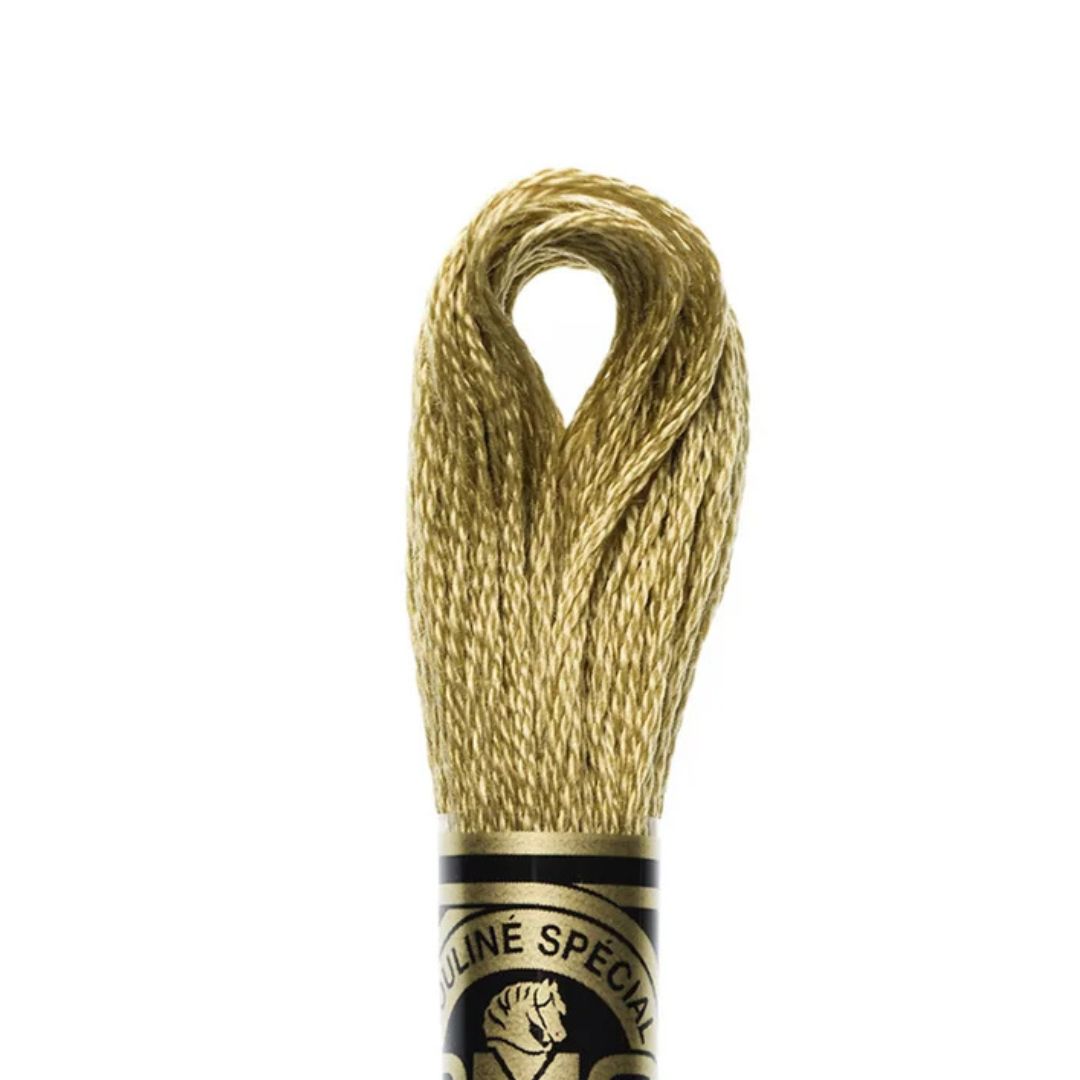 DMC Stranded Cotton Mouliné Spécial Embroidery Thread (3045)