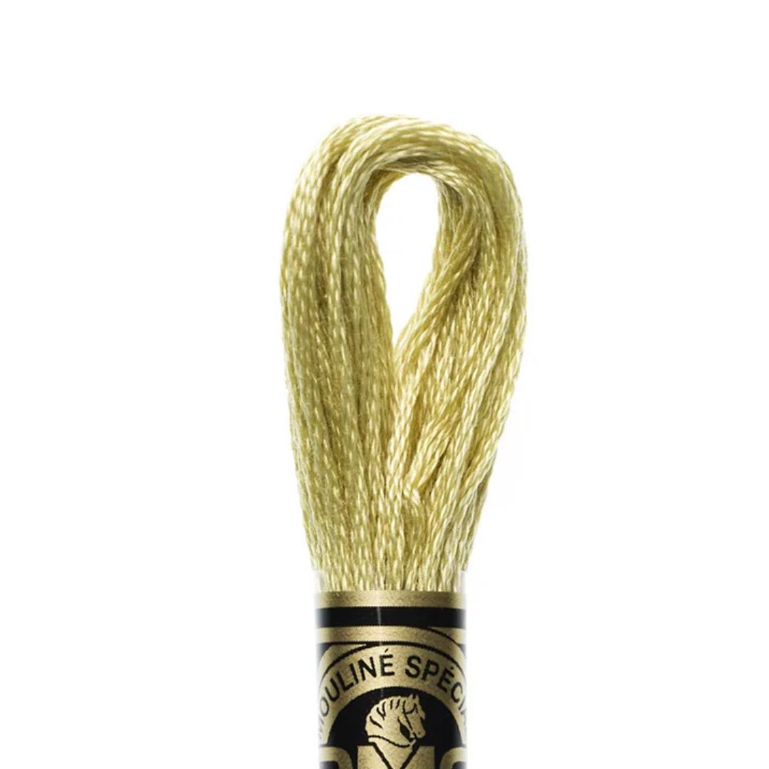 DMC Stranded Cotton Mouliné Spécial Embroidery Thread (3046)