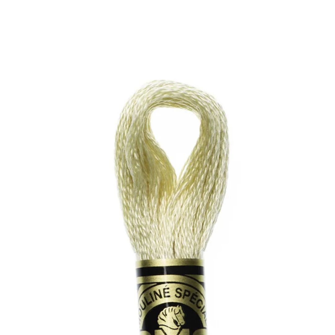 DMC Stranded Cotton Mouliné Spécial Embroidery Thread (3047)