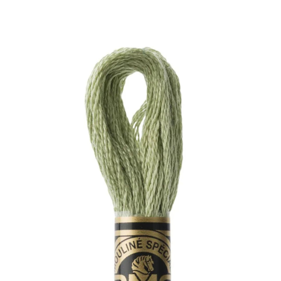 DMC Stranded Cotton Mouliné Spécial Embroidery Thread (3053)