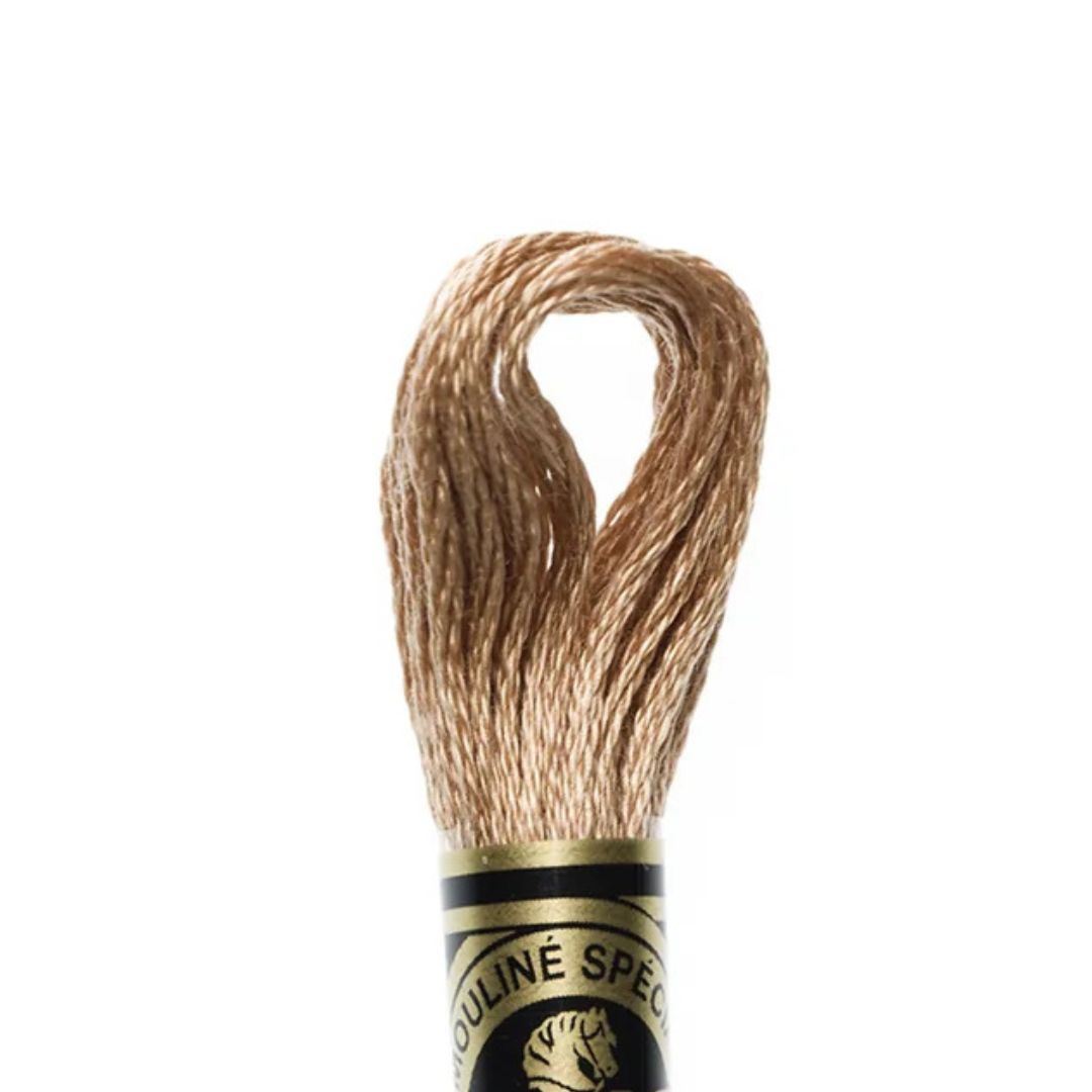 DMC Stranded Cotton Mouliné Spécial Embroidery Thread (3064)