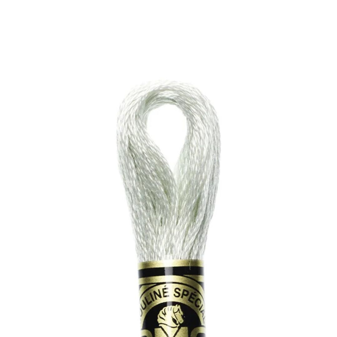 DMC Stranded Cotton Mouliné Spécial Embroidery Thread (3072)