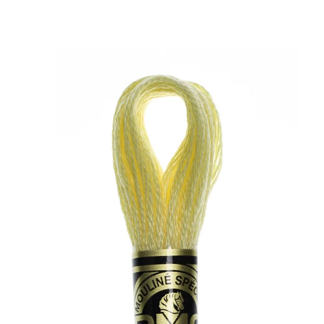 DMC Stranded Cotton Mouliné Spécial Embroidery Thread (3078)