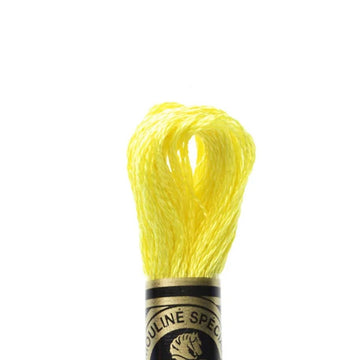 DMC Stranded Cotton Mouliné Spécial Embroidery Thread (307)