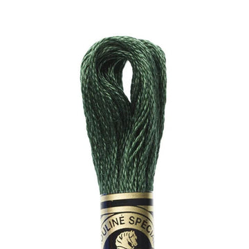 DMC Stranded Cotton Mouliné Spécial Embroidery Thread (319)