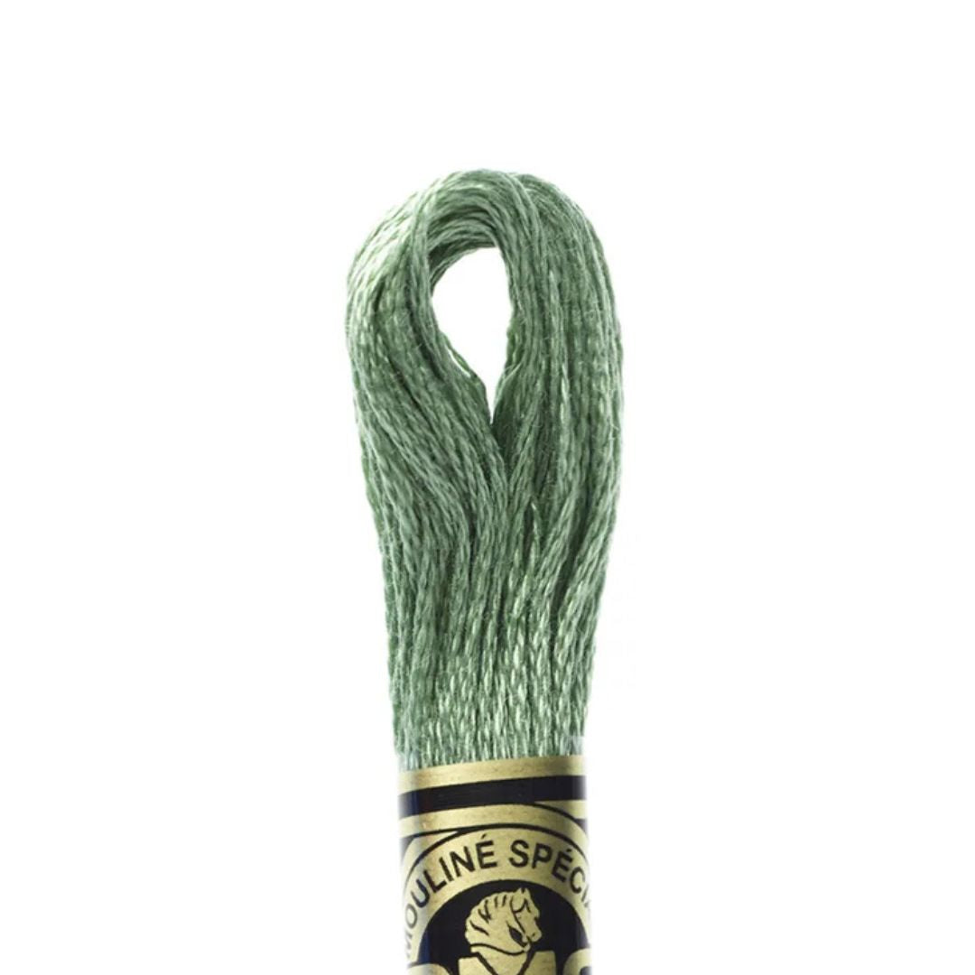 DMC Stranded Cotton Mouliné Spécial Embroidery Thread (320)