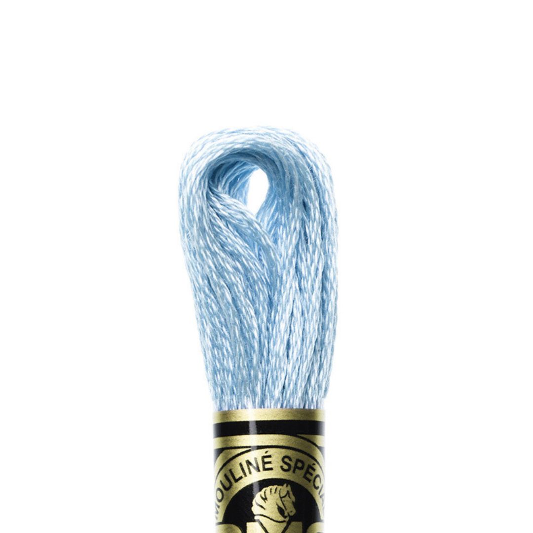 DMC Stranded Cotton Mouliné Spécial Embroidery Thread (3325)