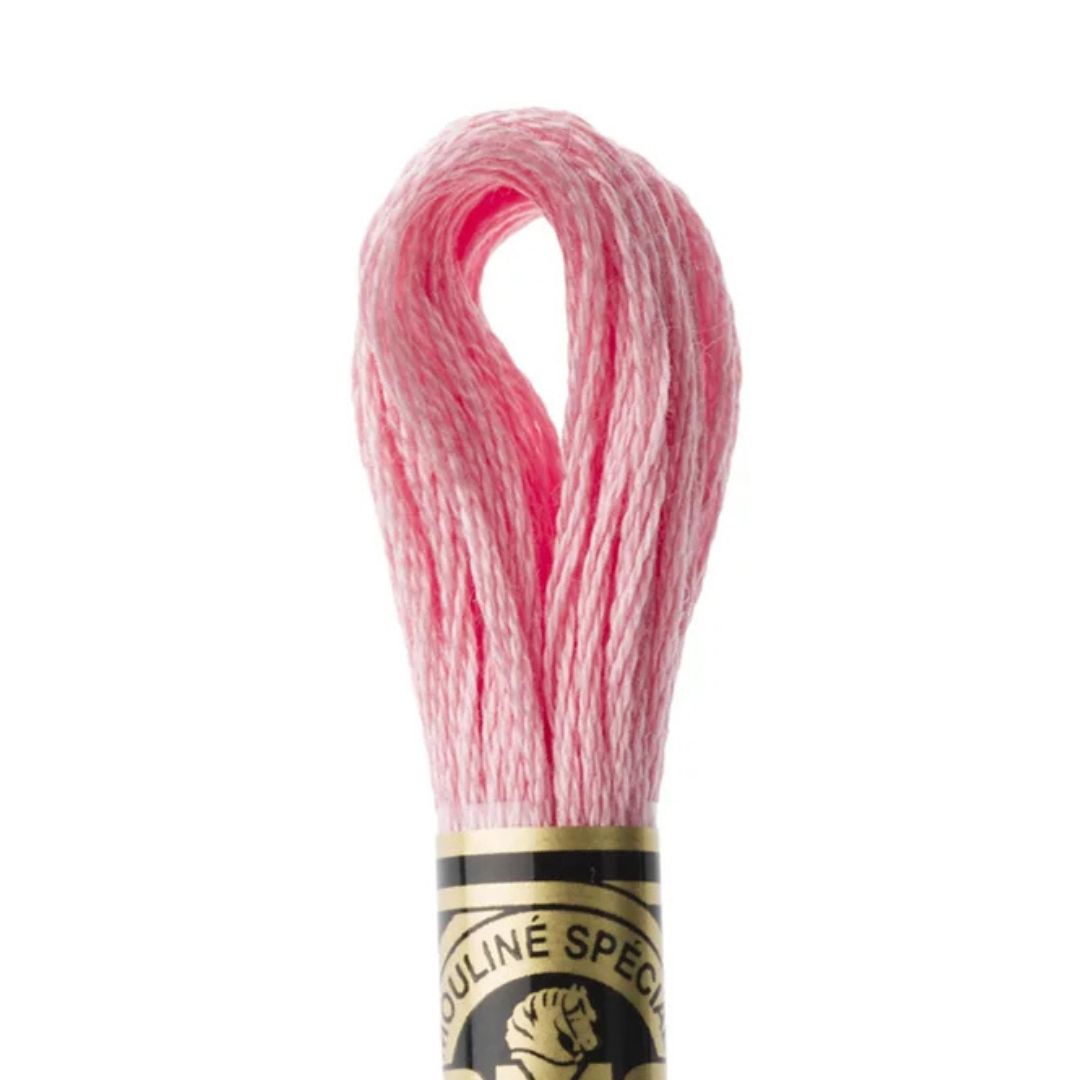 DMC Stranded Cotton Mouliné Spécial Embroidery Thread (3326)