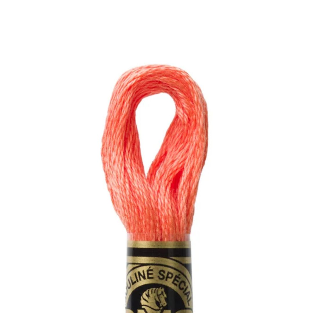 DMC Stranded Cotton Mouliné Spécial Embroidery Thread (3340)