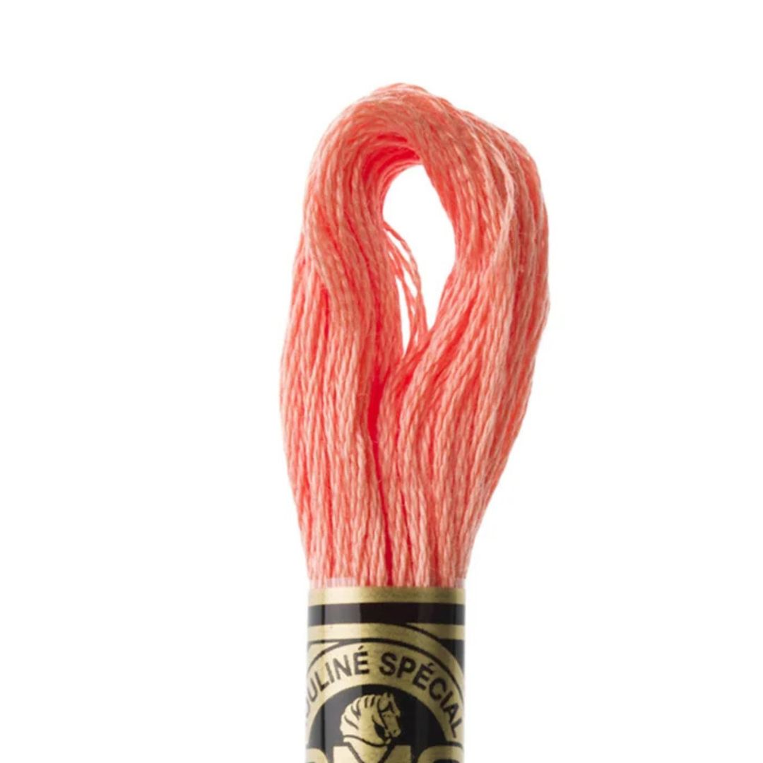 DMC Stranded Cotton Mouliné Spécial Embroidery Thread (3341)