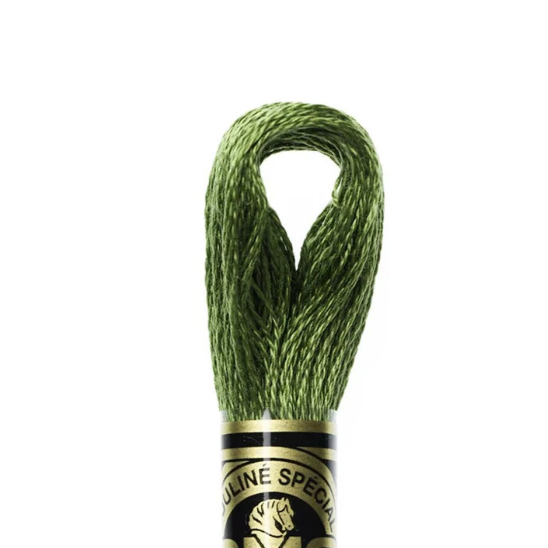 DMC Stranded Cotton Mouliné Spécial Embroidery Thread (3346)