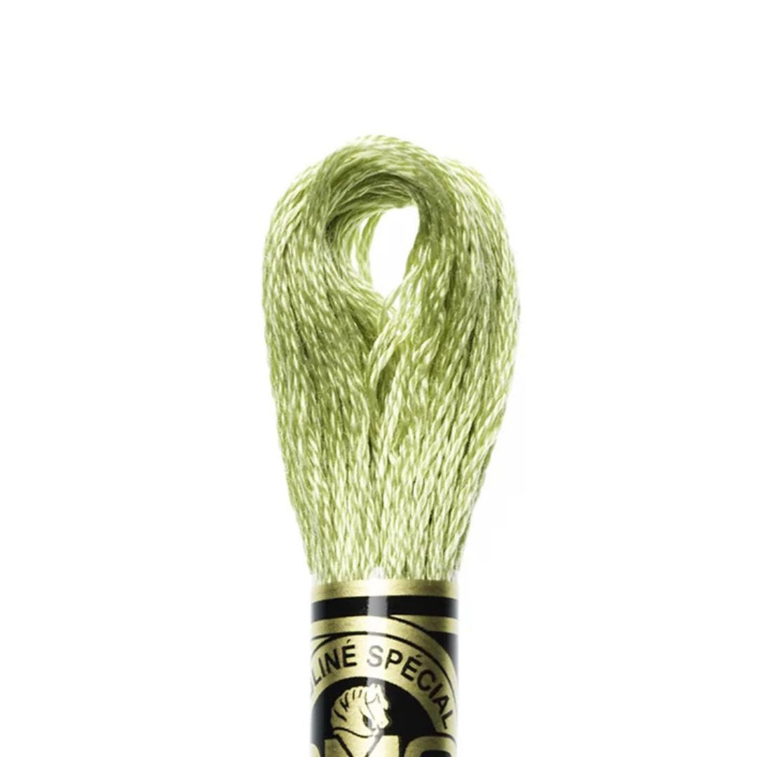 DMC Stranded Cotton Mouliné Spécial Embroidery Thread (3348)
