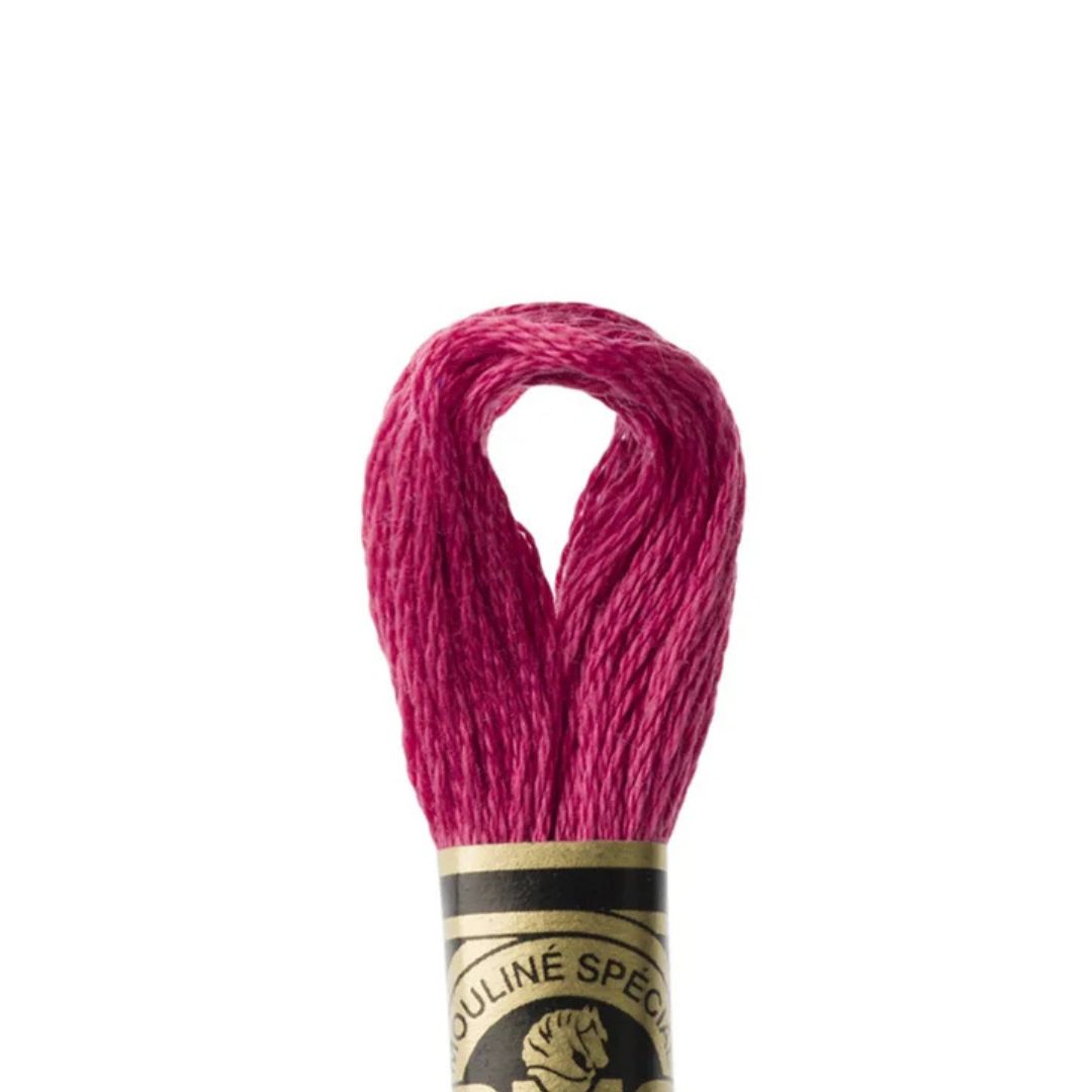 DMC Stranded Cotton Mouliné Spécial Embroidery Thread (3350)