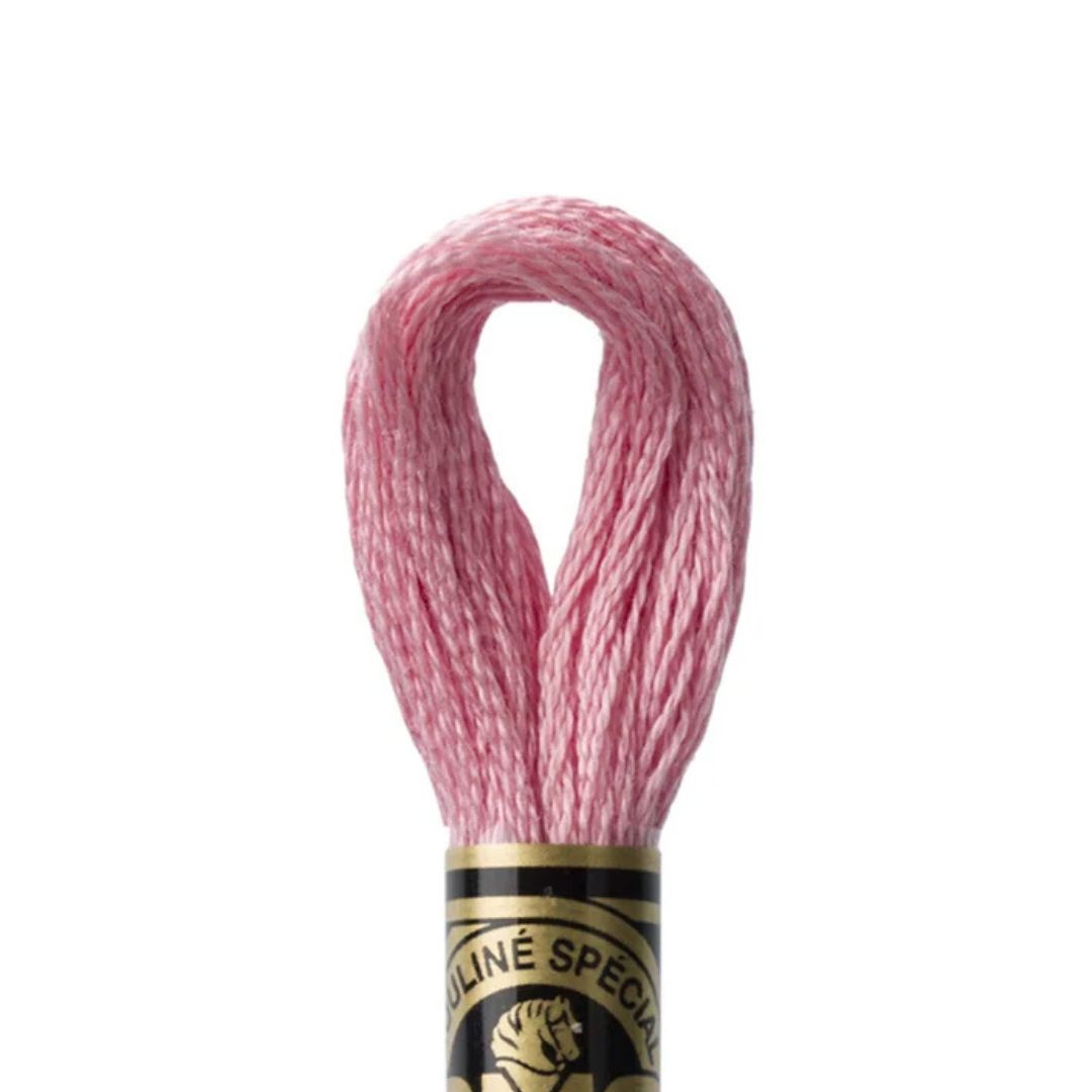 DMC Stranded Cotton Mouliné Spécial Embroidery Thread (3354)