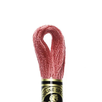 DMC Stranded Cotton Mouliné Spécial Embroidery Thread (335)