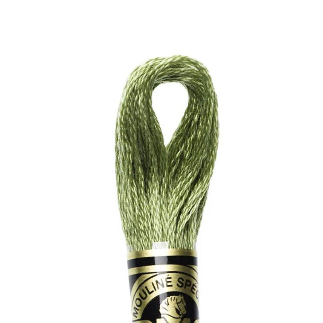 DMC Stranded Cotton Mouliné Spécial Embroidery Thread (3364)