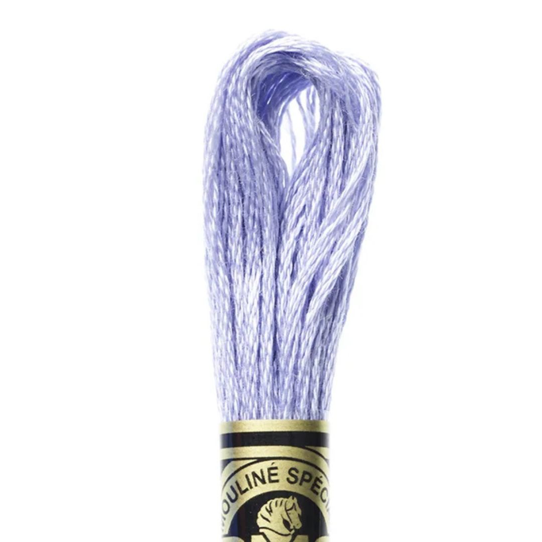 DMC Stranded Cotton Mouliné Spécial Embroidery Thread (341)