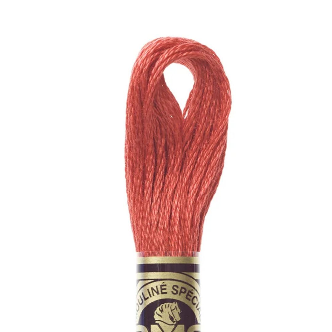 DMC Stranded Cotton Mouliné Spécial Embroidery Thread (349)