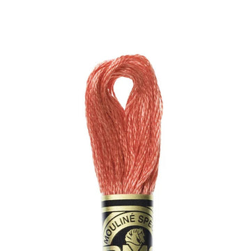 DMC Stranded Cotton Mouliné Spécial Embroidery Thread (351)