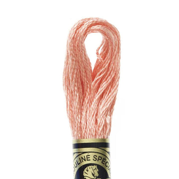 DMC Stranded Cotton Mouliné Spécial Embroidery Thread (352)