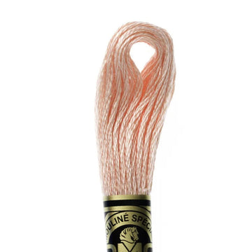 DMC Stranded Cotton Mouliné Spécial Embroidery Thread (353)