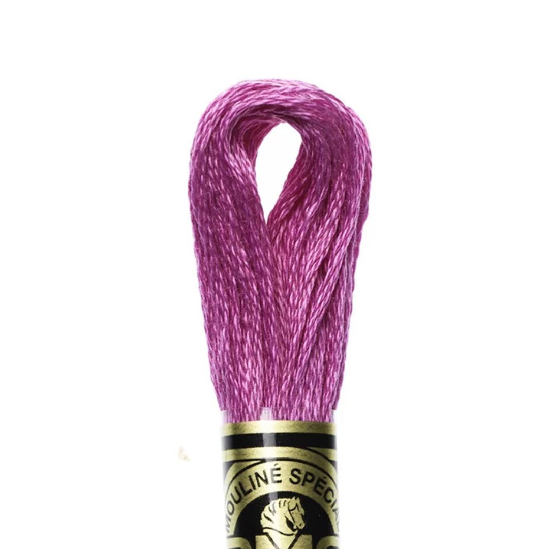 DMC Stranded Cotton Mouliné Spécial Embroidery Thread (3607)