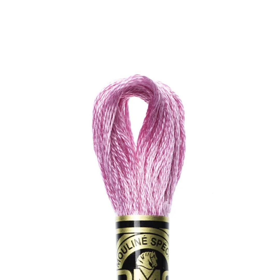 DMC Stranded Cotton Mouliné Spécial Embroidery Thread (3608)