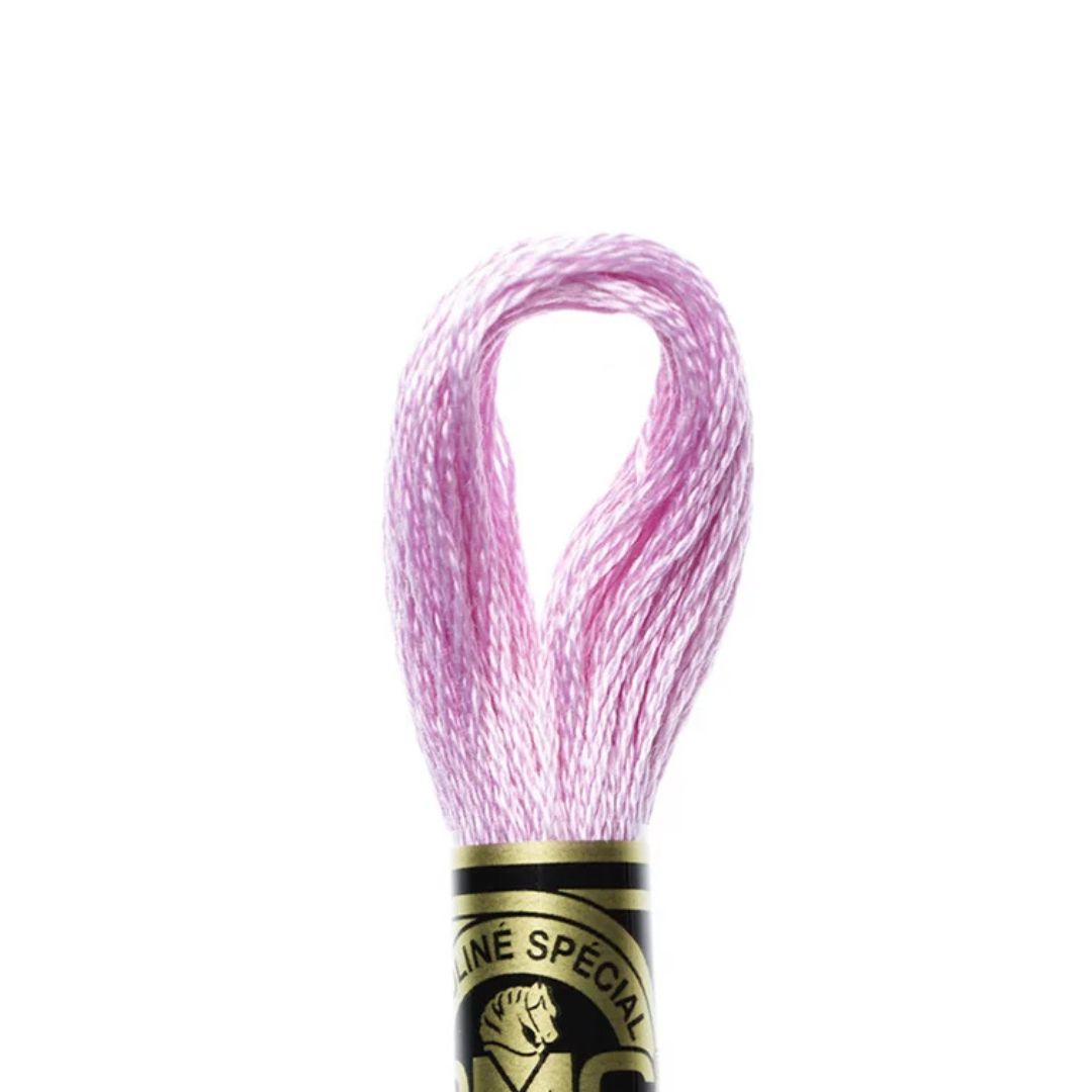 DMC Stranded Cotton Mouliné Spécial Embroidery Thread (3609)