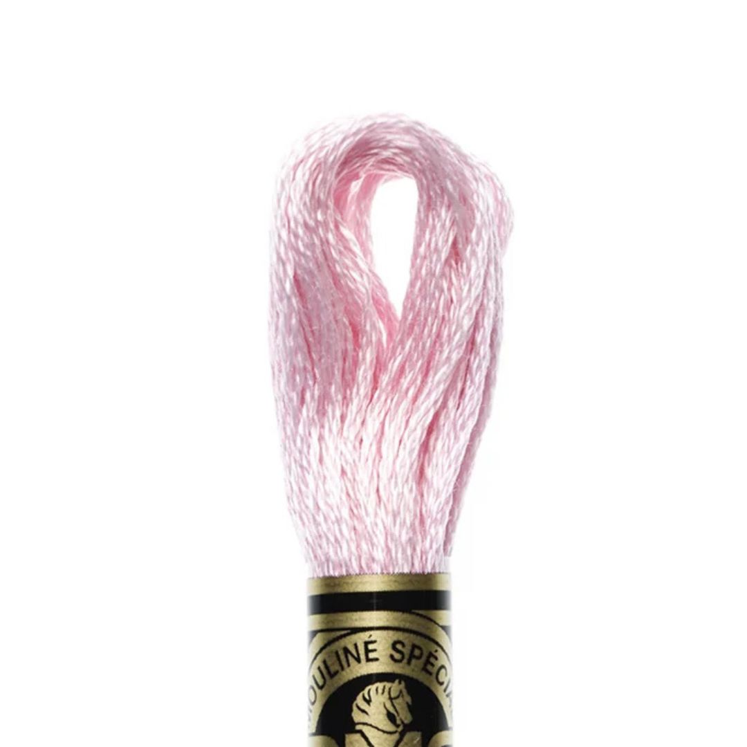DMC Stranded Cotton Mouliné Spécial Embroidery Thread (3689)