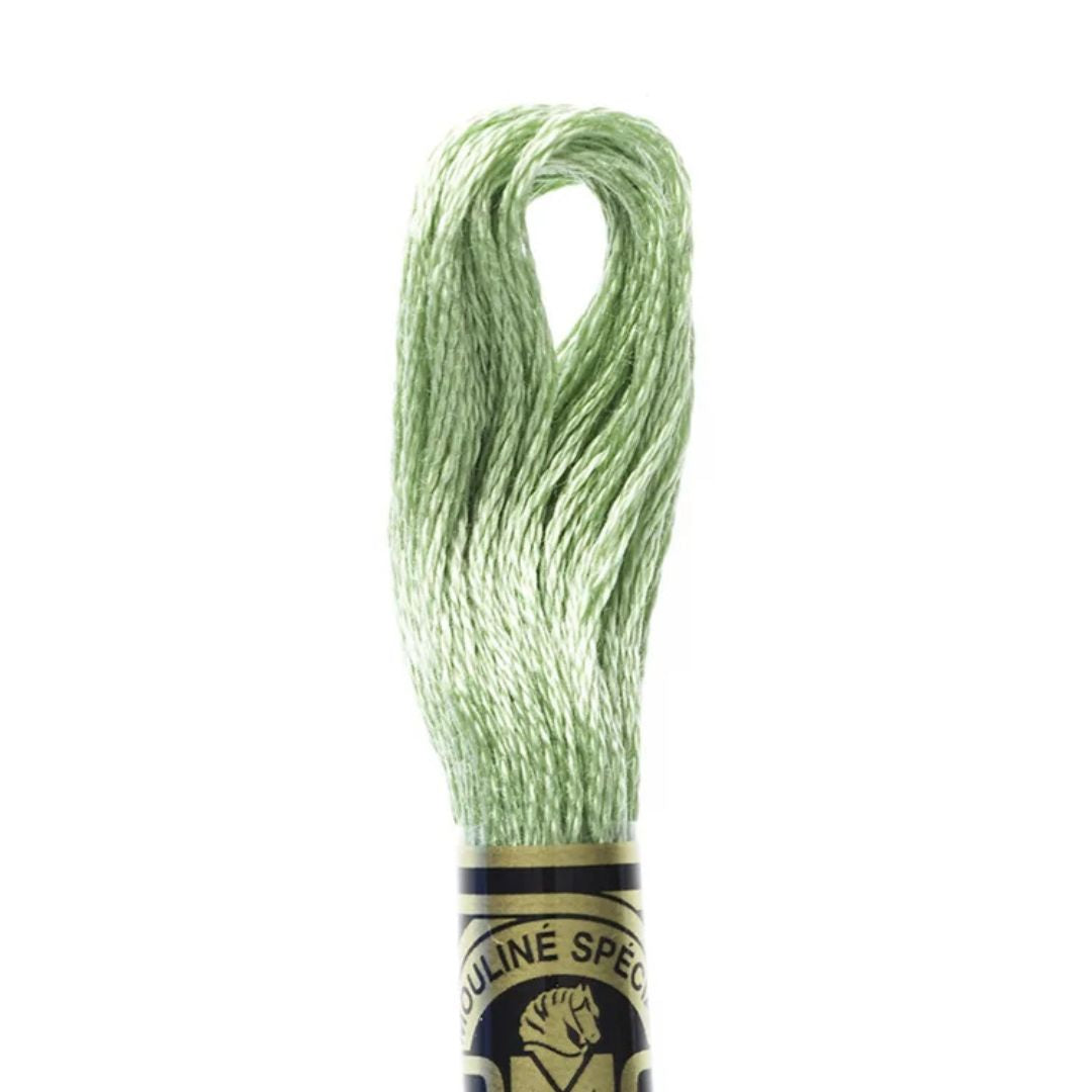 DMC Stranded Cotton Mouliné Spécial Embroidery Thread (368)