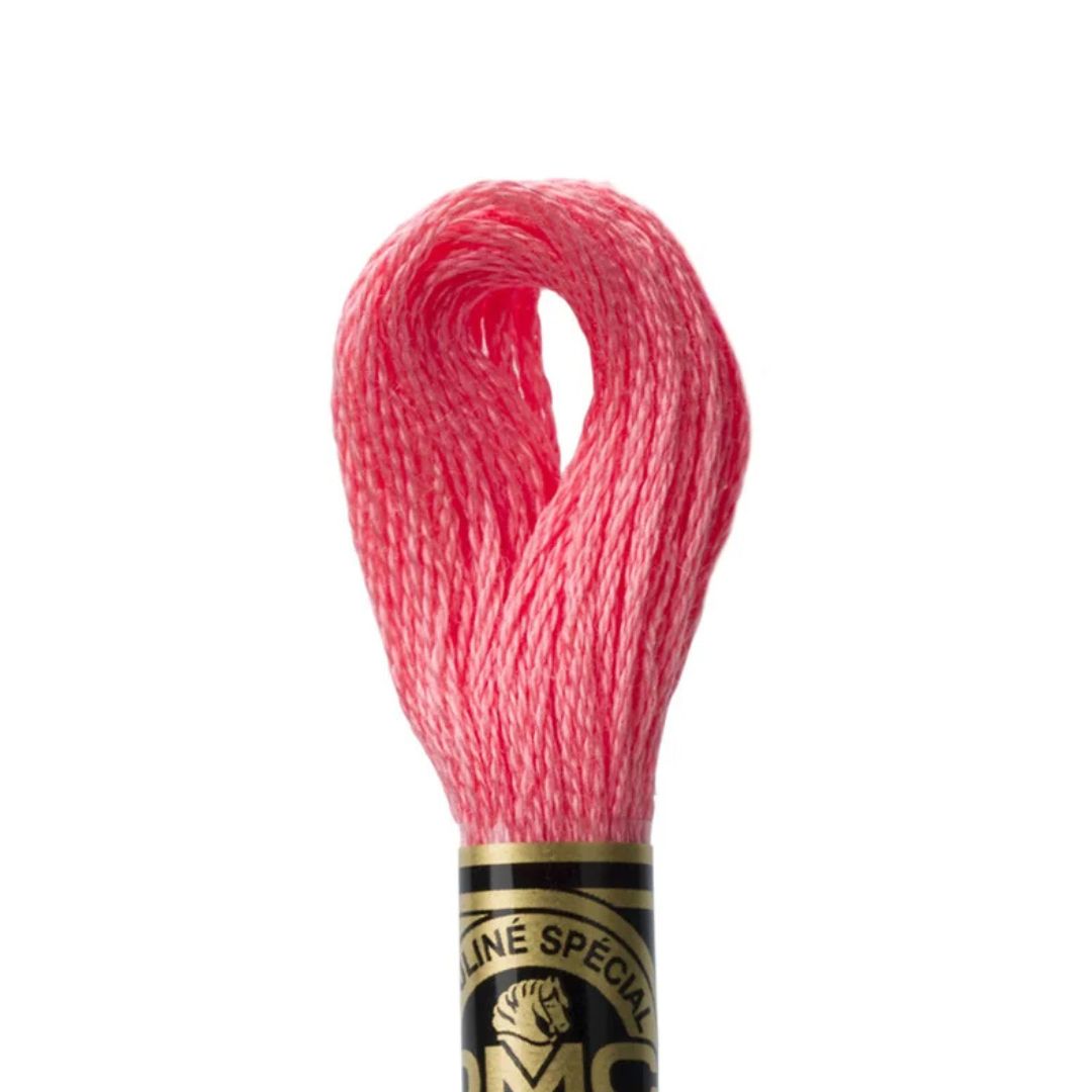 DMC Stranded Cotton Mouliné Spécial Embroidery Thread (3706)