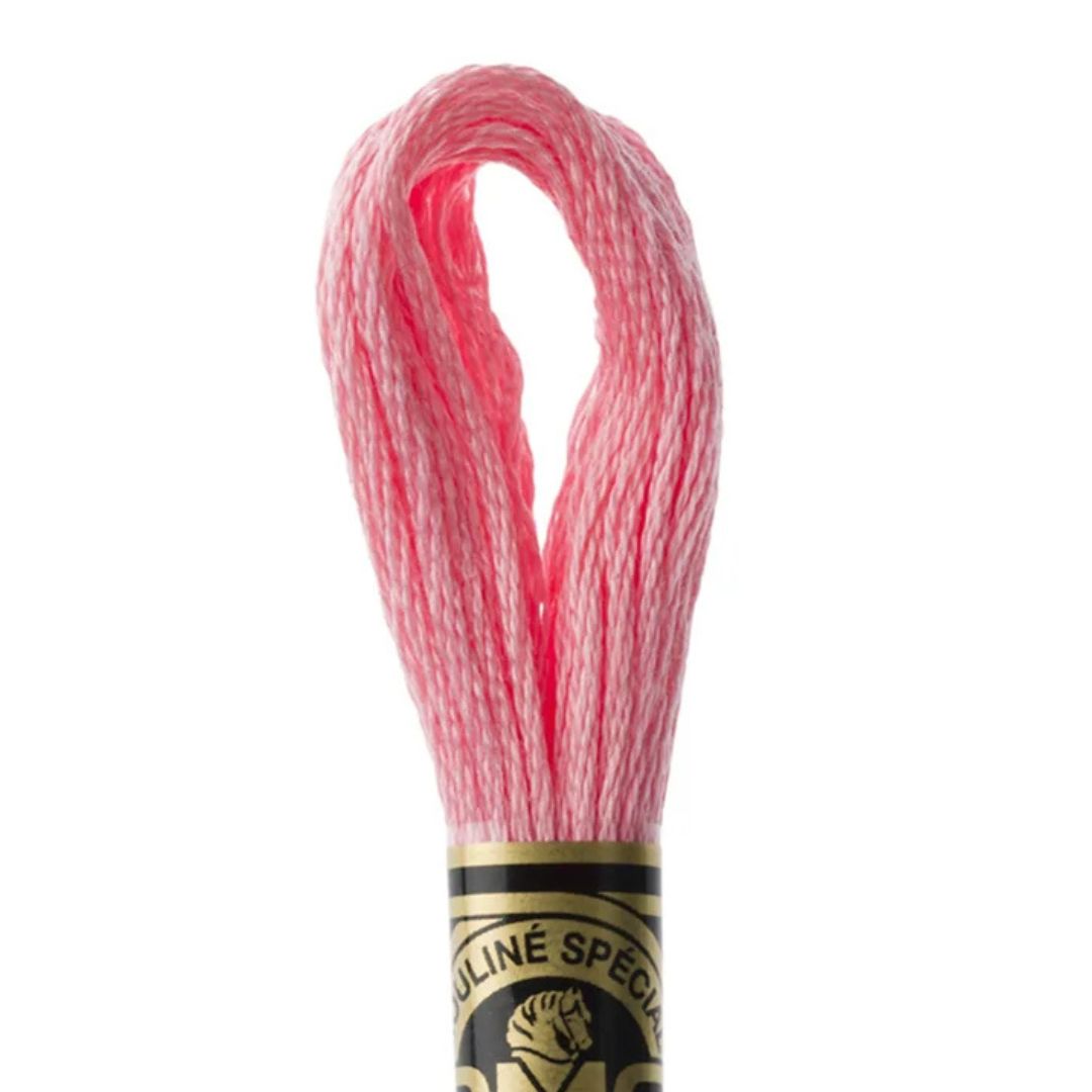 DMC Stranded Cotton Mouliné Spécial Embroidery Thread (3708)