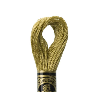 DMC Stranded Cotton Mouliné Spécial Embroidery Thread (370)