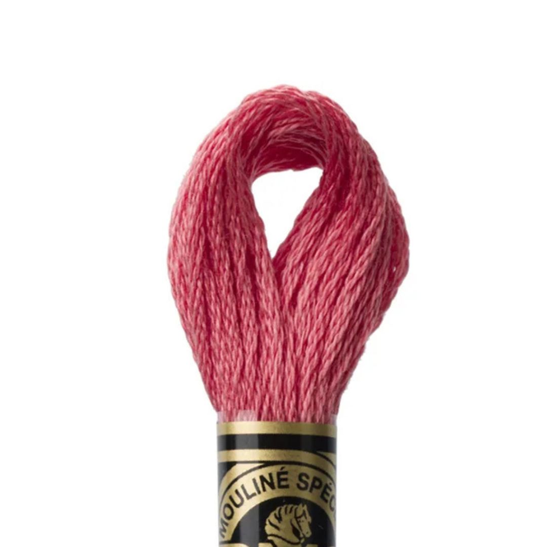 DMC Stranded Cotton Mouliné Spécial Embroidery Thread (3712)