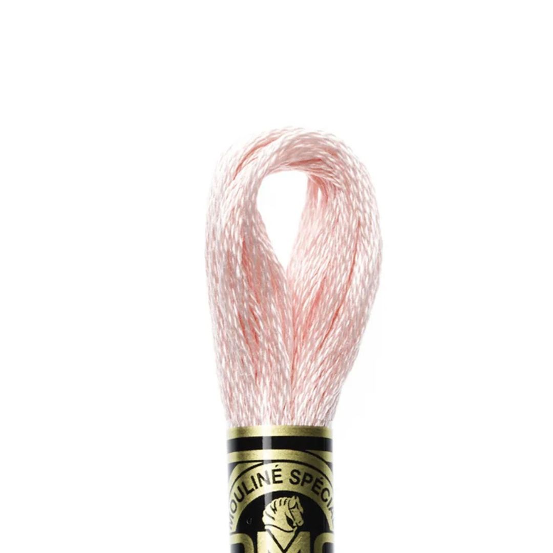 DMC Stranded Cotton Mouliné Spécial Embroidery Thread (3713)