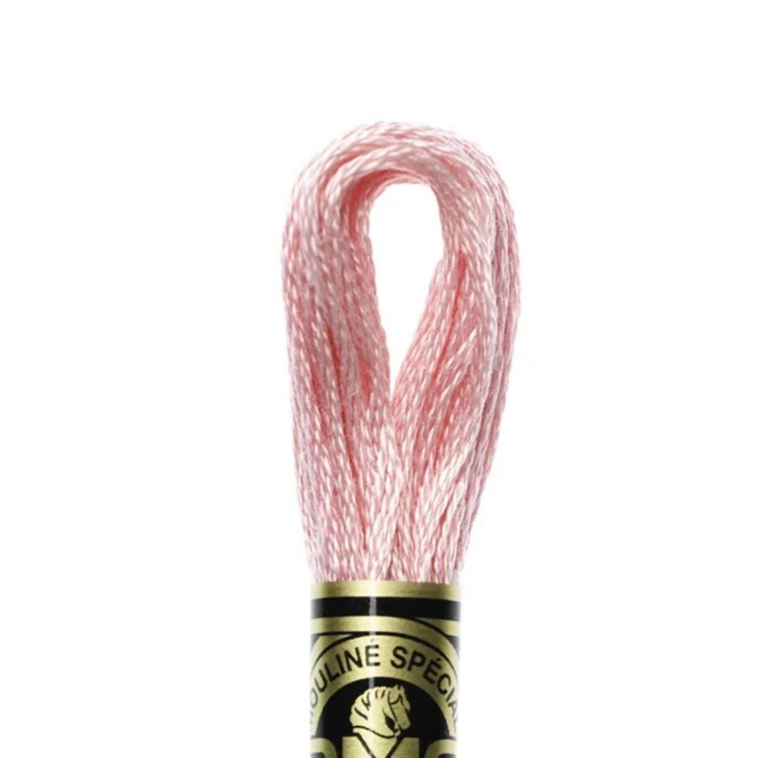 DMC Stranded Cotton Mouliné Spécial Embroidery Thread (3716)