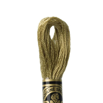 DMC Stranded Cotton Mouliné Spécial Embroidery Thread (371)