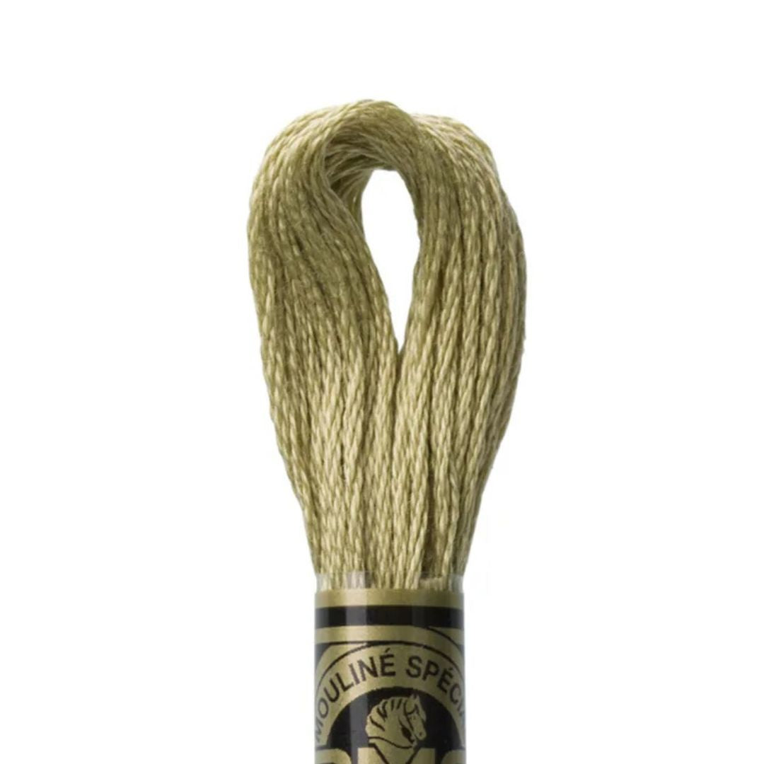 DMC Stranded Cotton Mouliné Spécial Embroidery Thread (372)