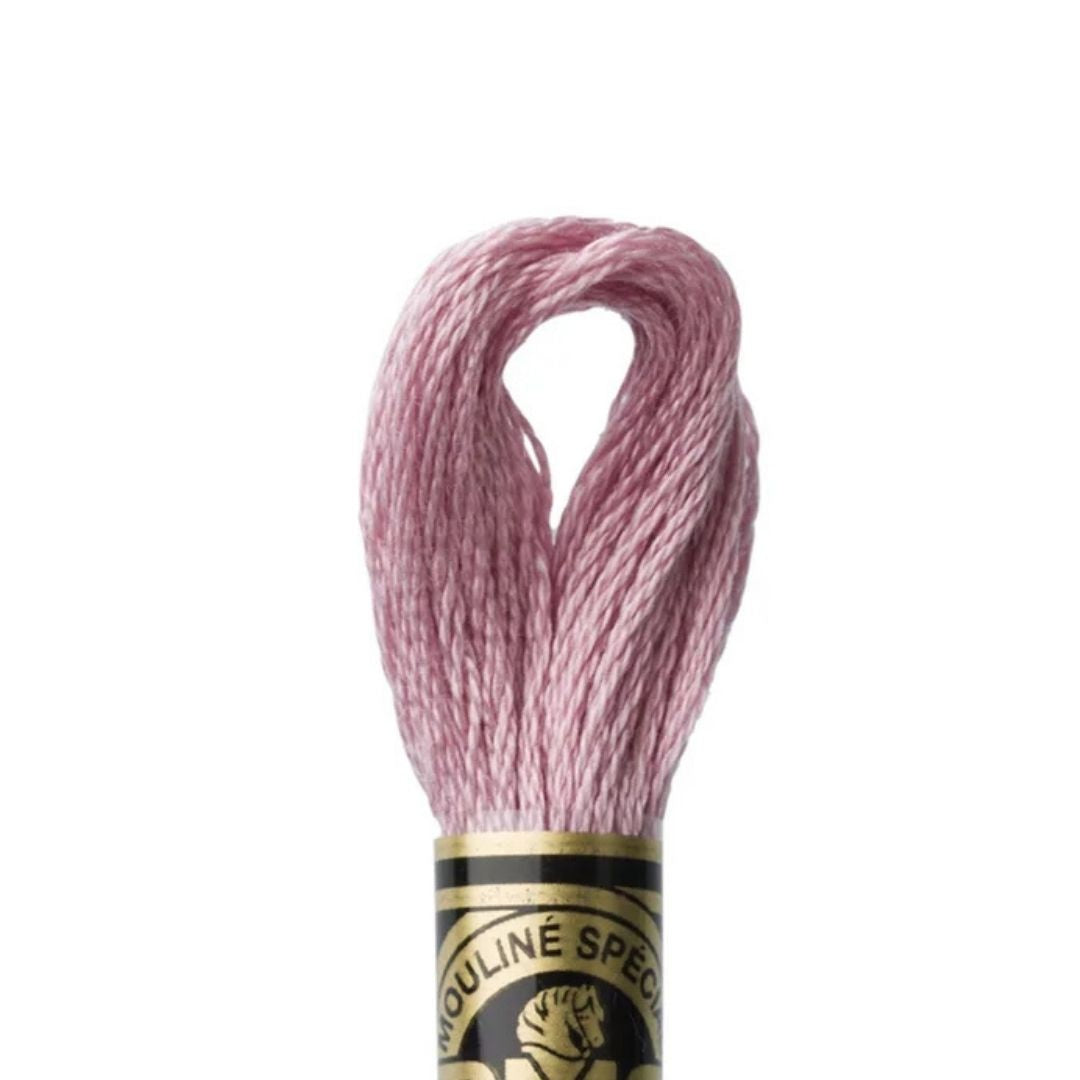 DMC Stranded Cotton Mouliné Spécial Embroidery Thread (3727)