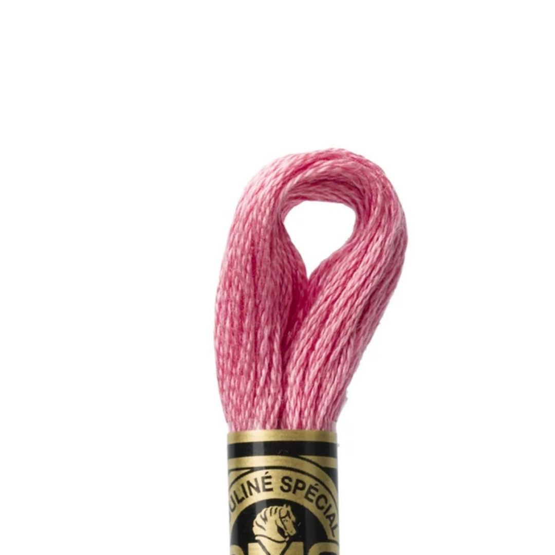 DMC Stranded Cotton Mouliné Spécial Embroidery Thread (3733)