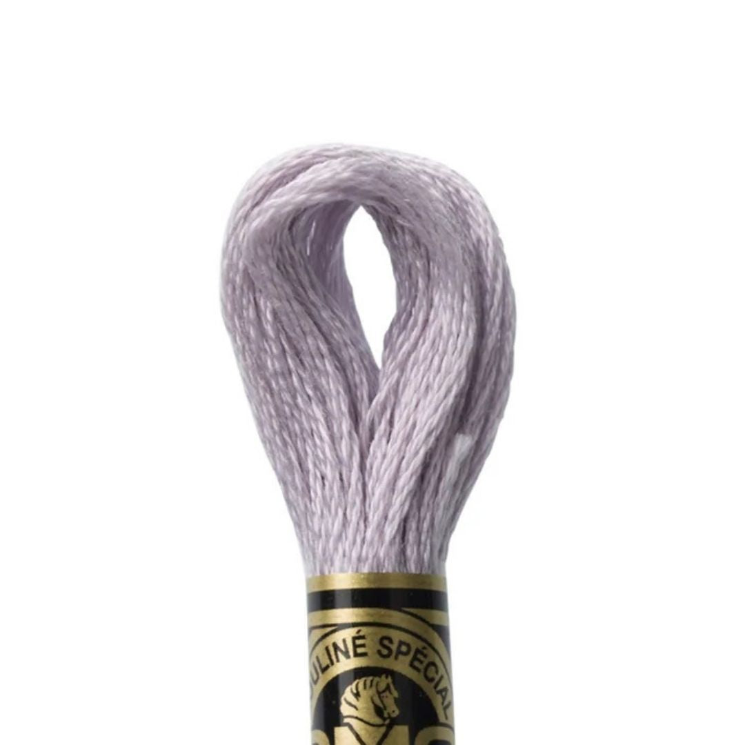 DMC Stranded Cotton Mouliné Spécial Embroidery Thread (3743)