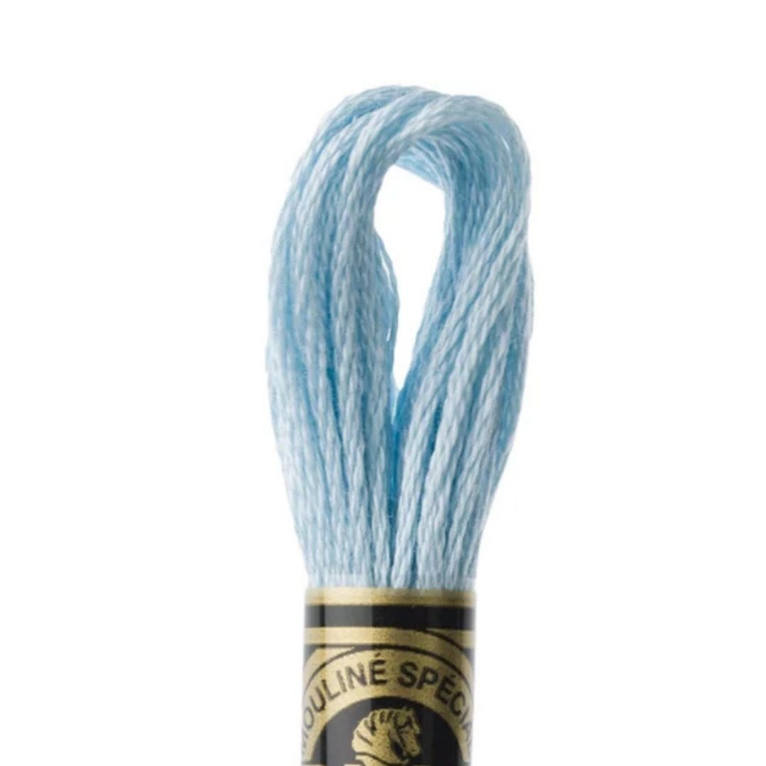 DMC Stranded Cotton Mouliné Spécial Embroidery Thread (3761)